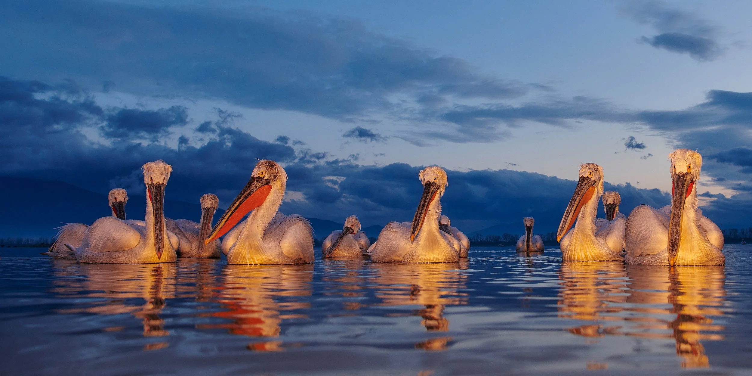 3 Days left! Nur noch 3 Tage! WMPO 2022