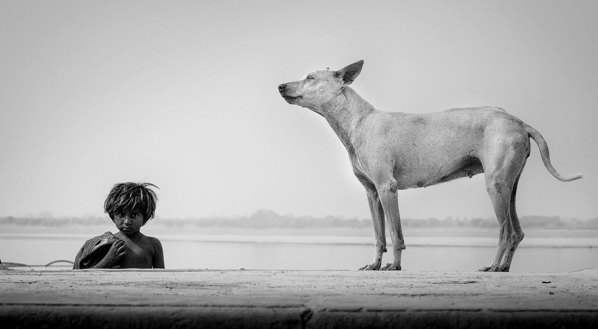 WMPO Street Photography + Photojournalism Photography Award 2022 - the Winners!