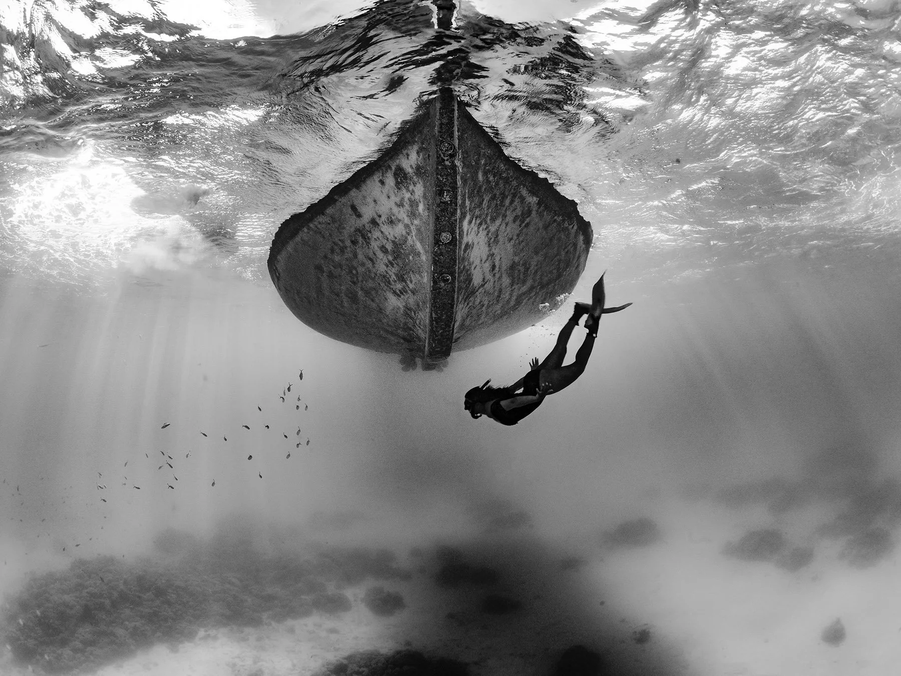 VIEPA Award 2022 - die Gewinner der Sparte Black &amp; White Photography