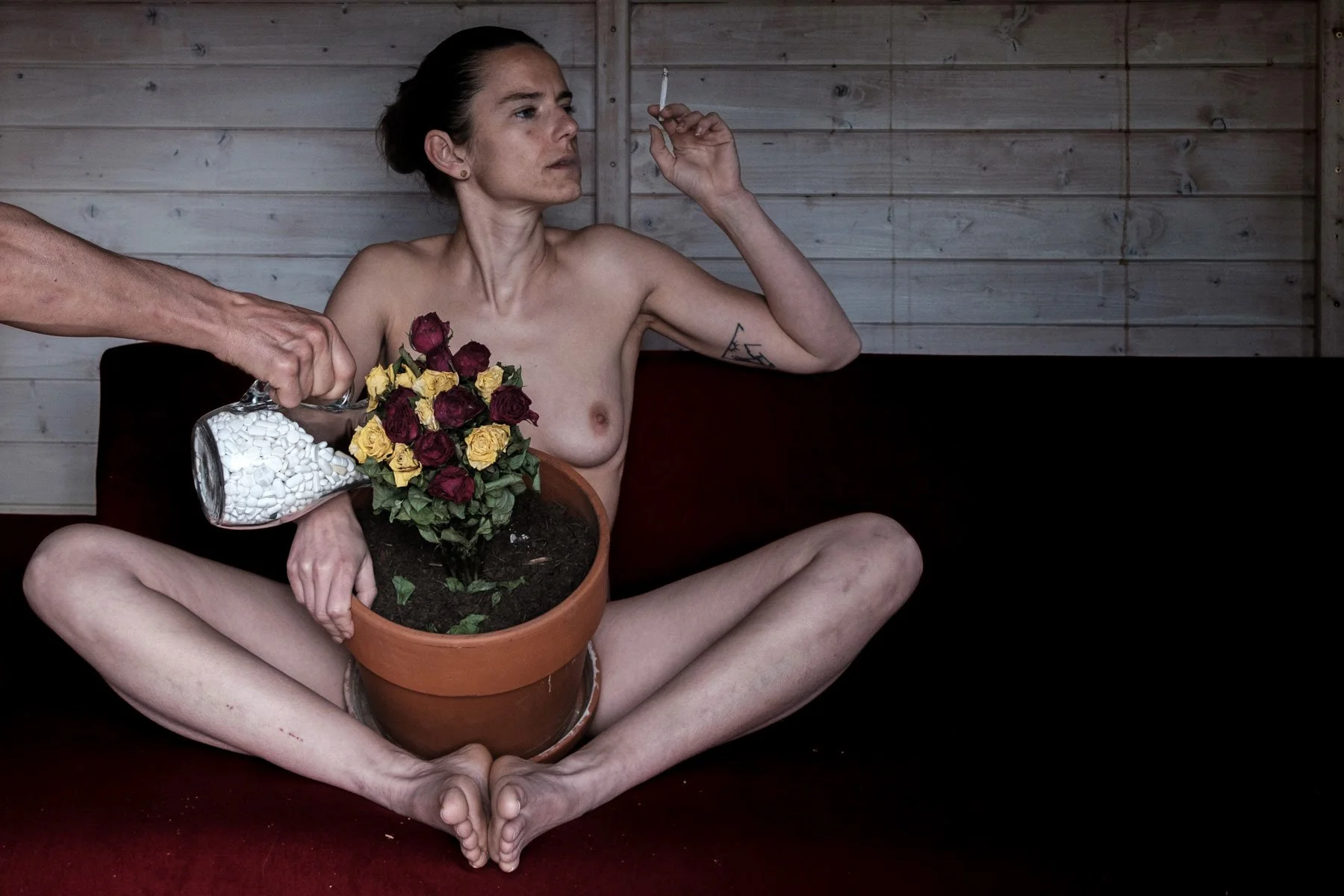 16 Punkte - DSCF7853-2-m.jpeg