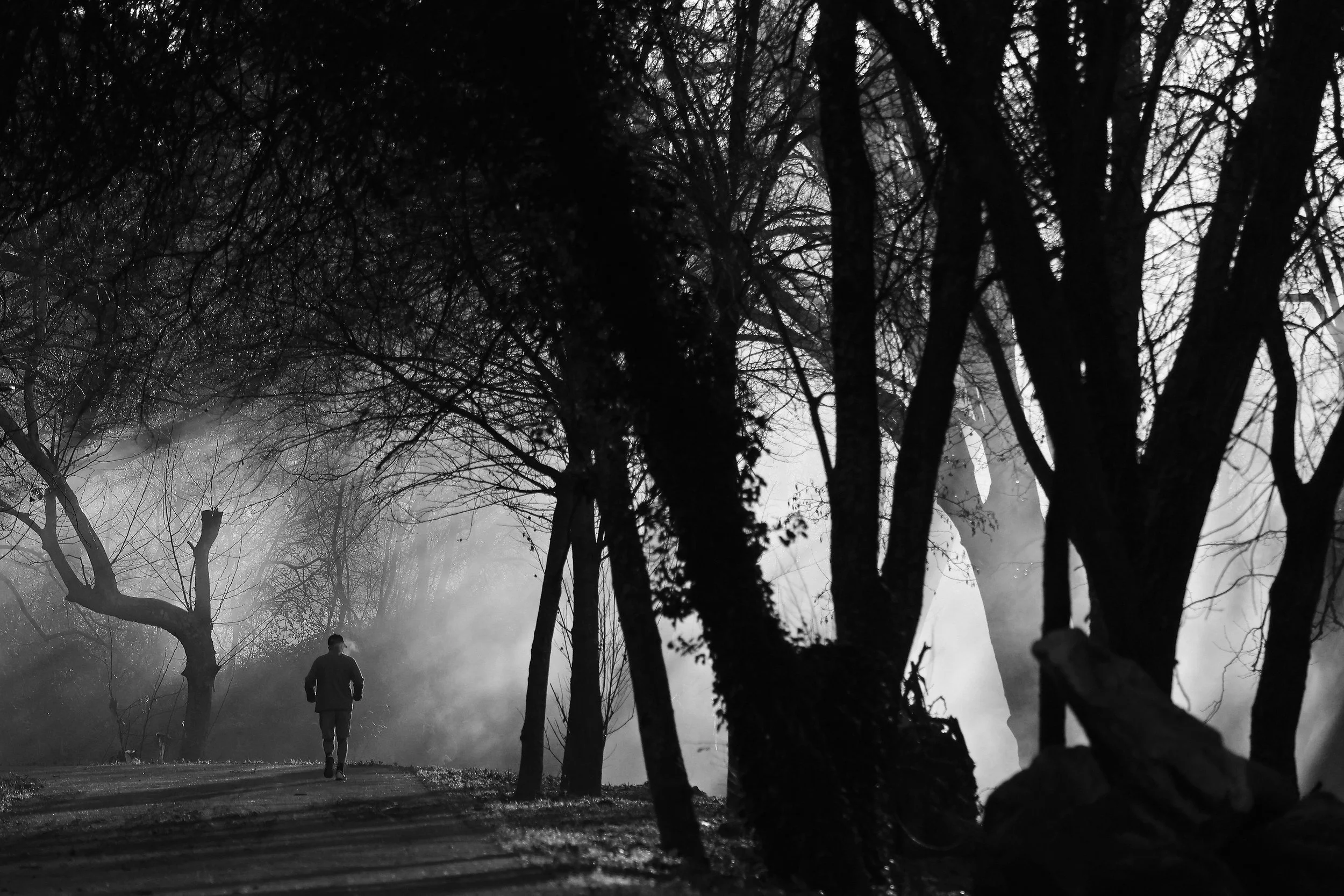 15Punkte_Renato Lainho_Portugal_Morning jog at the river.jpg