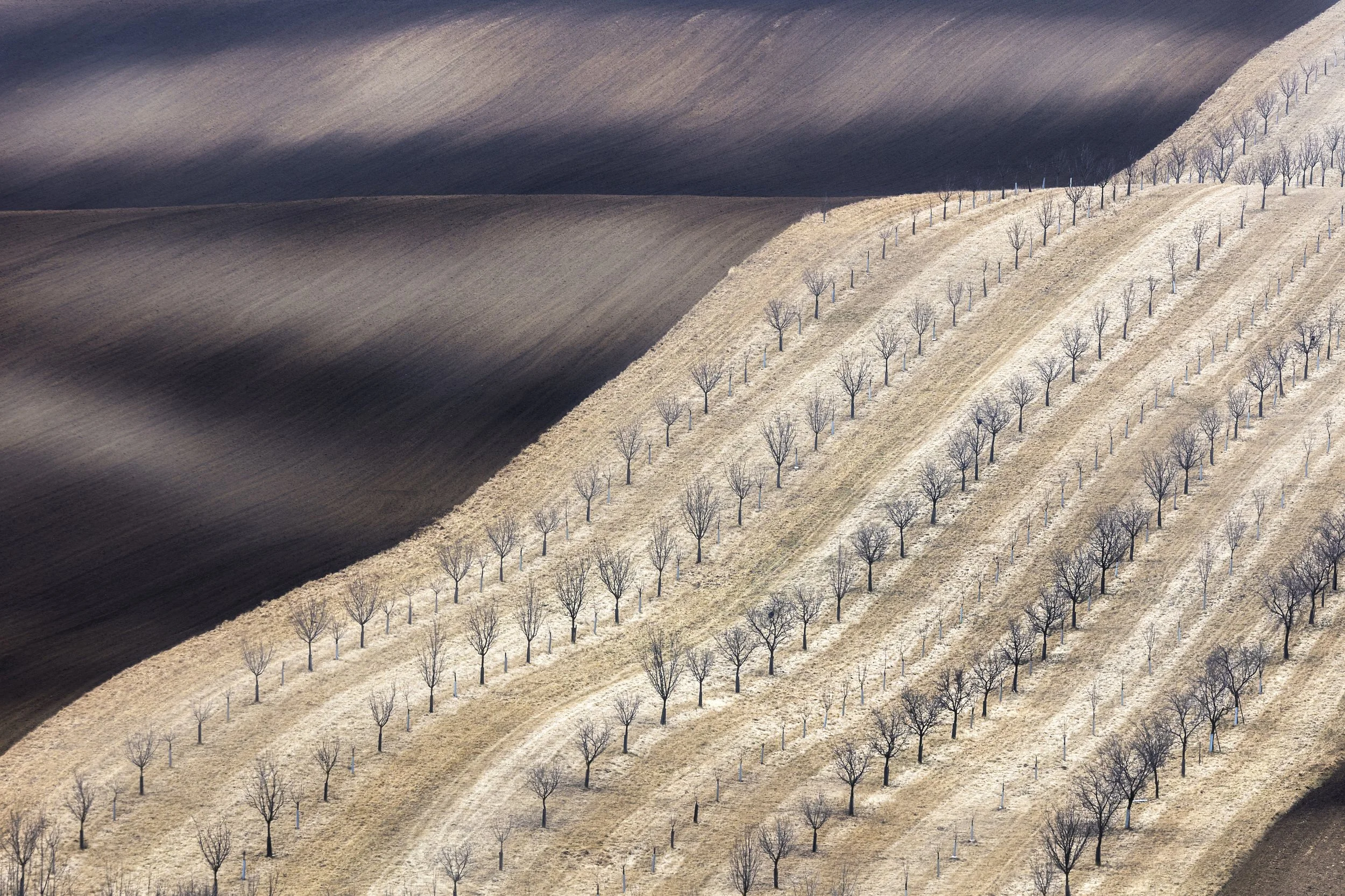 World Masters of Photography WMPO Landscape Awards 2024.
