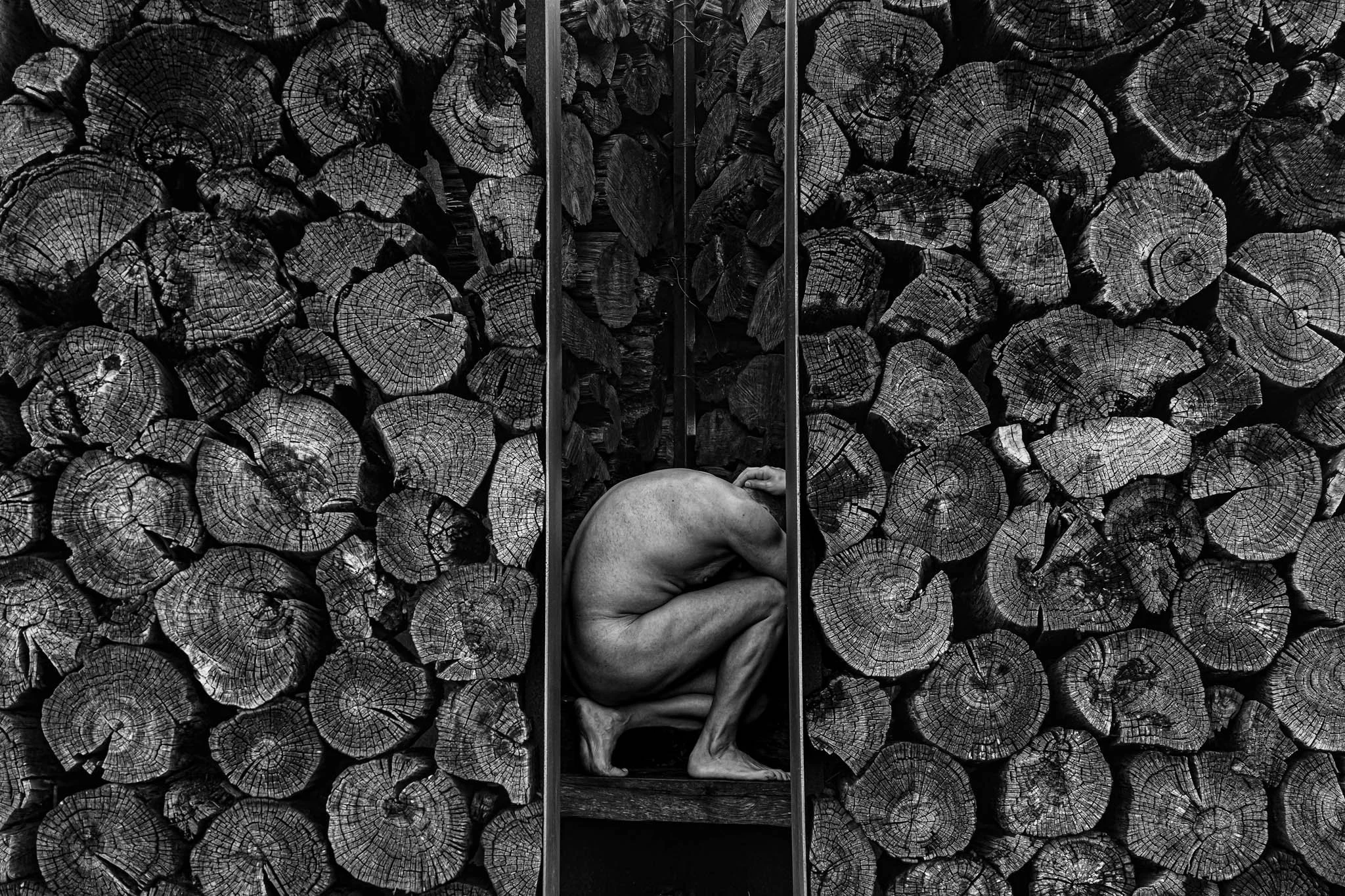 World Masters of Photography - Contemporary Photography