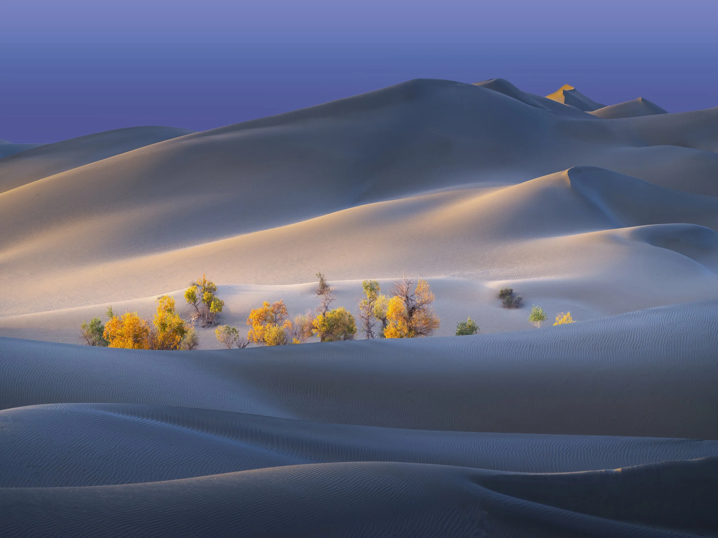 WORLD MASTERS OF PHOTOGRAPHY 2025 - The Winners - LANDSCAPE PHOTOGRAPHY