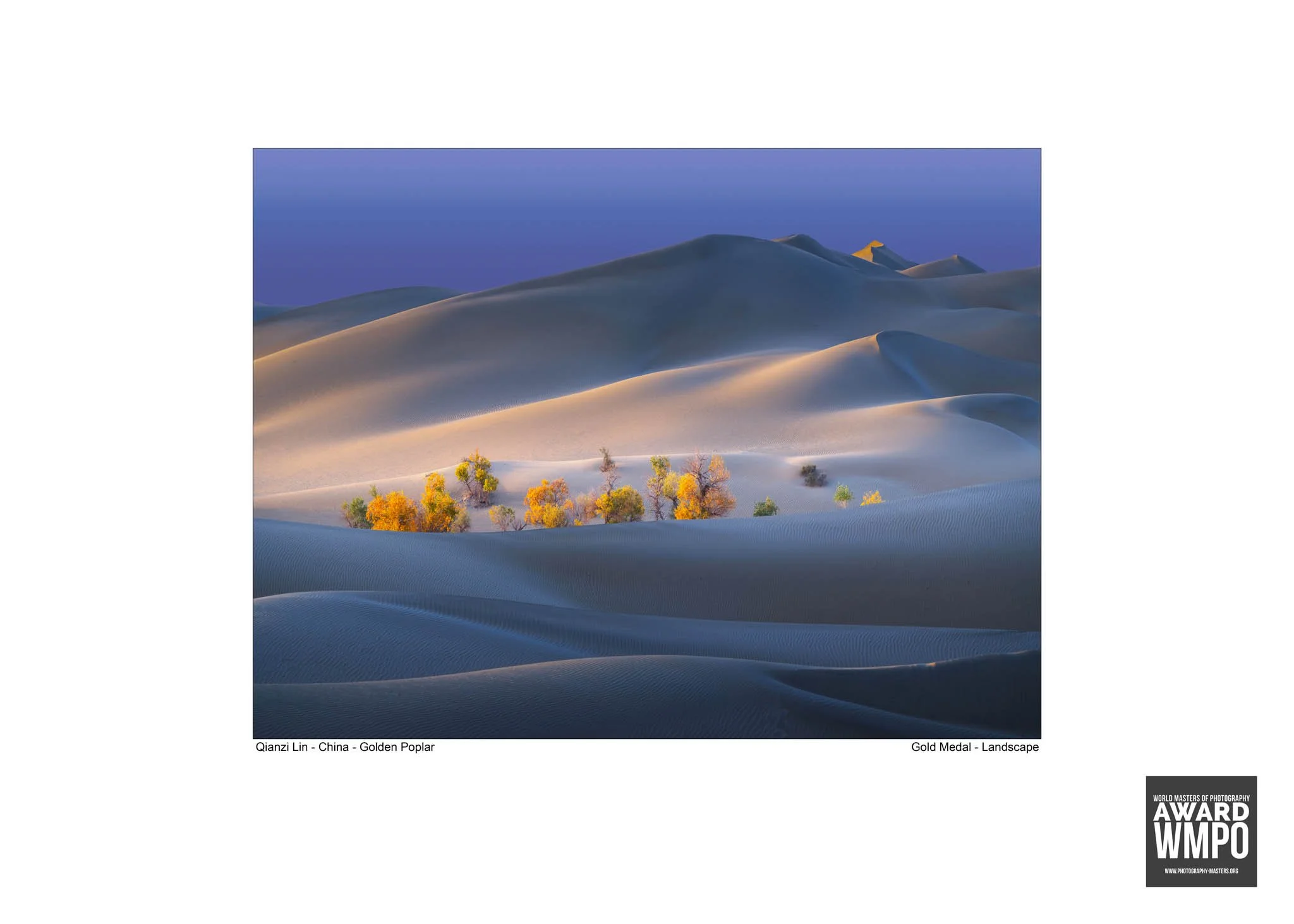 World Masters of Photography Awards 2025 – A Celebration of Global Photography 