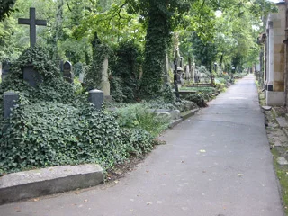 olsany3.jpg