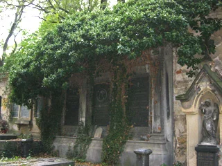 olsany6.jpg
