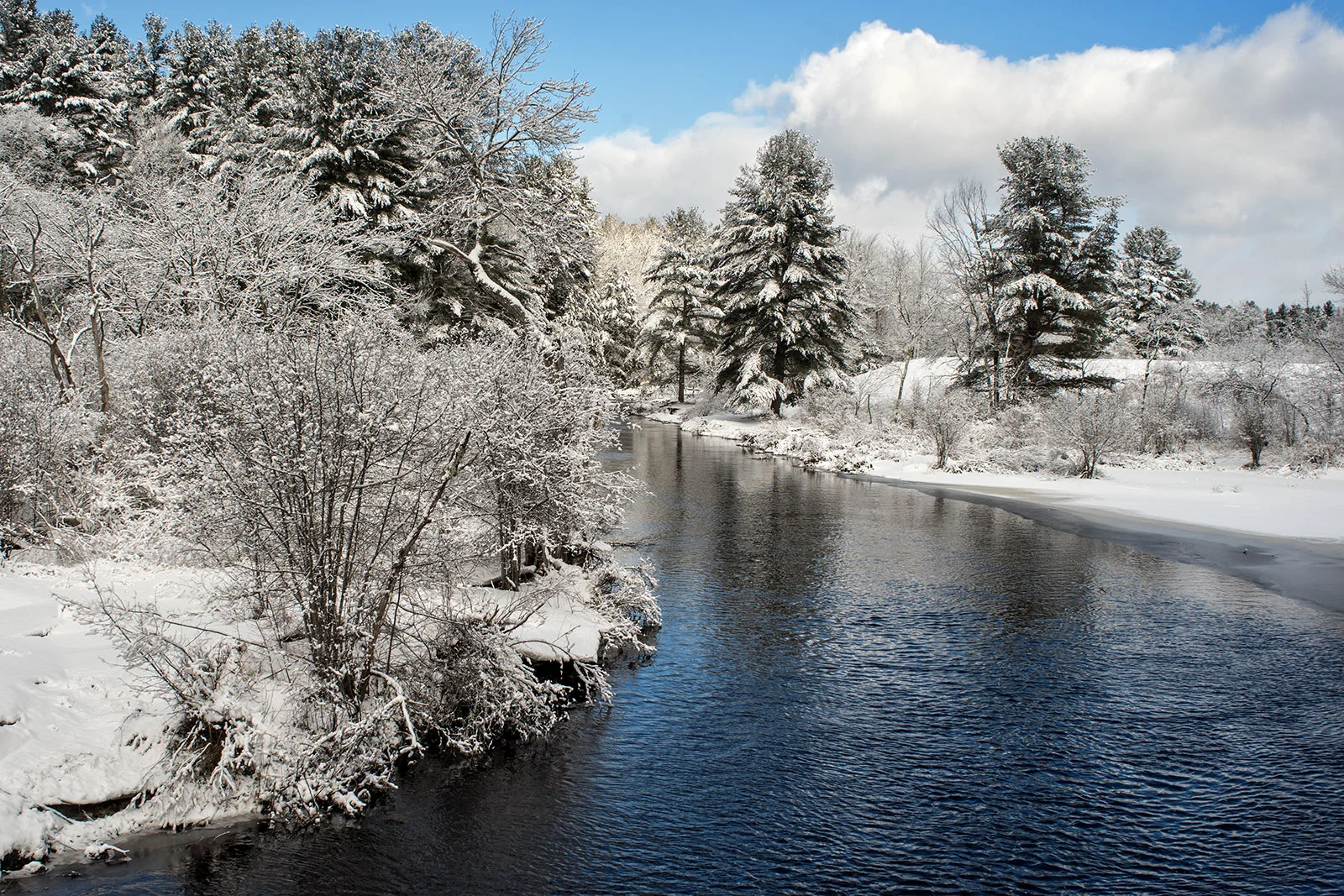 DSC04464_winter-rivers-#2_lg.jpg