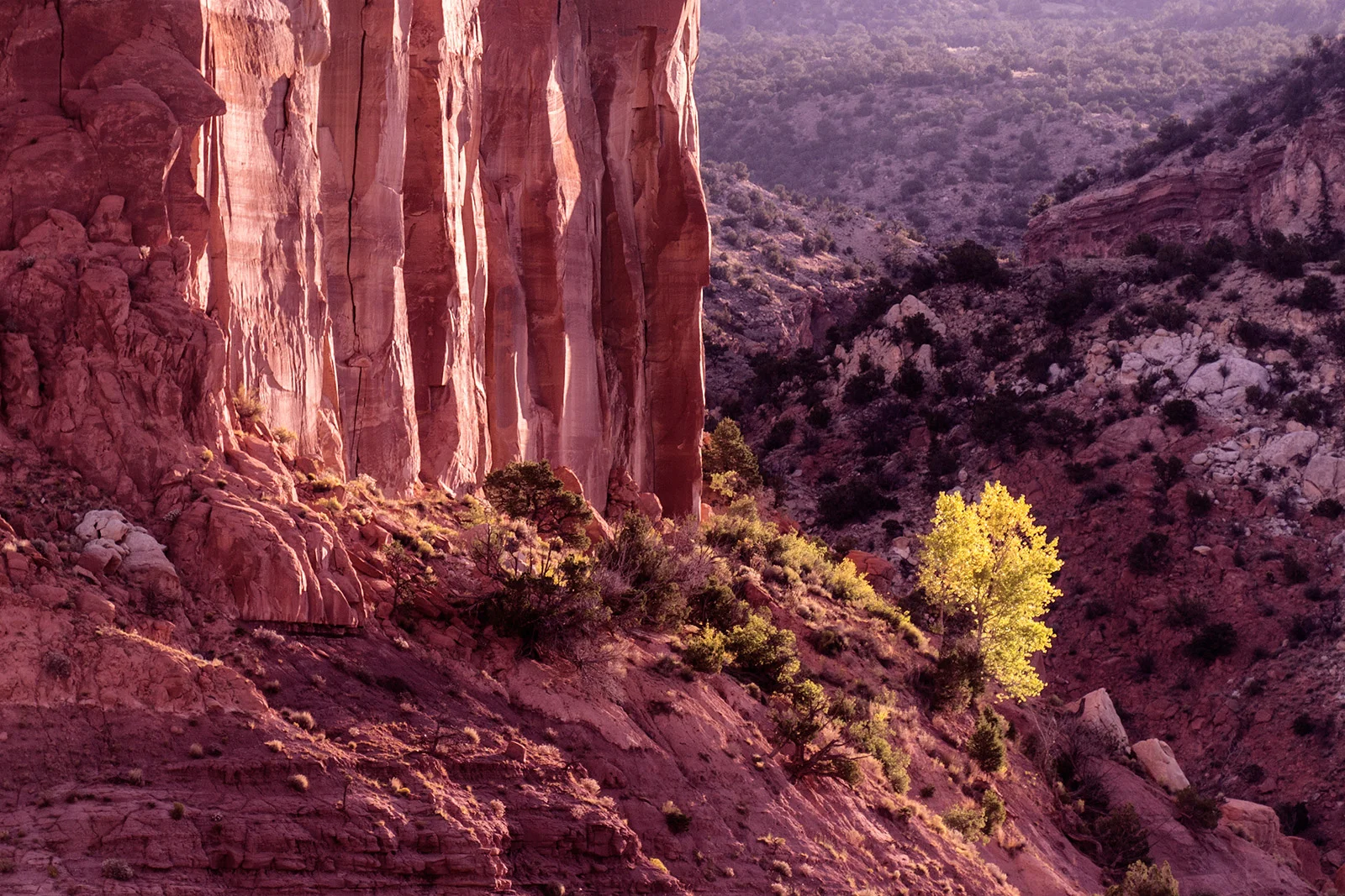 DSC01061_sunrise-cliffs_lg.jpg