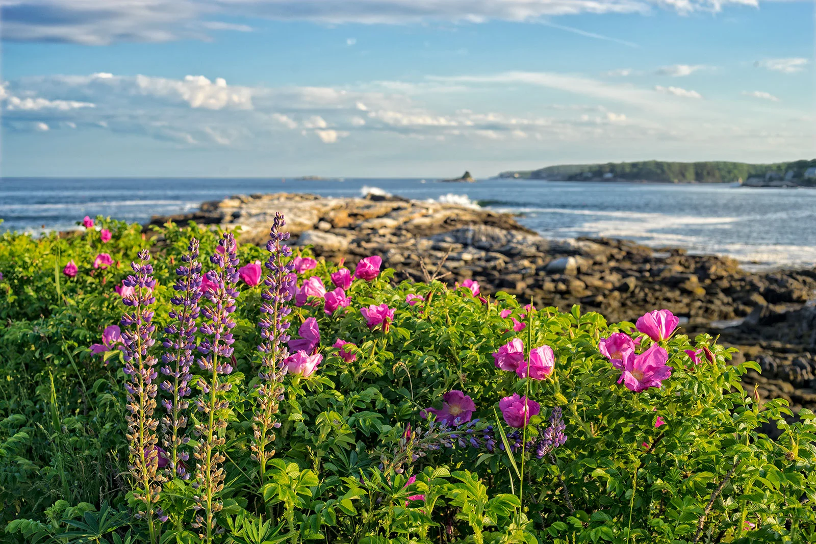 DSC00411-evening-at-long-cove-point-53.jpg