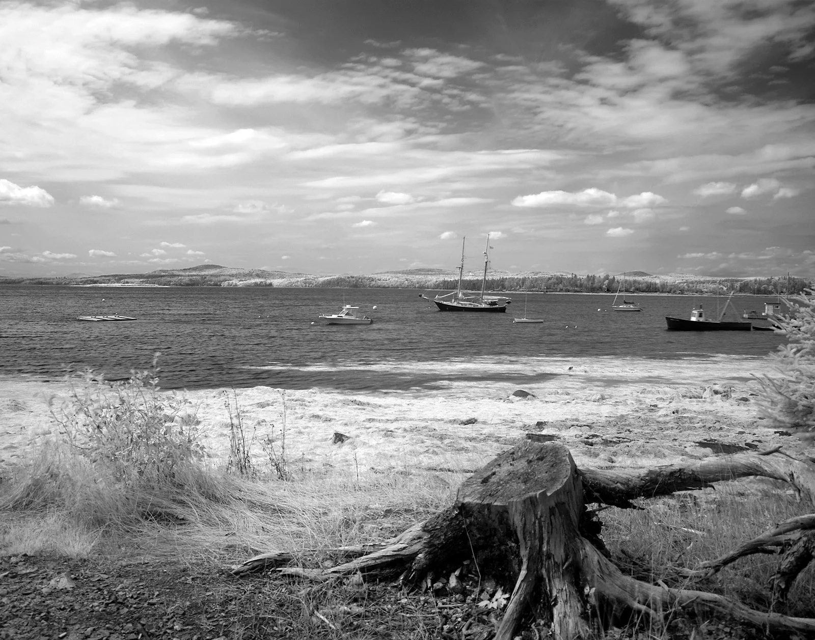 Islesboro, Maine. Infrared photograph.