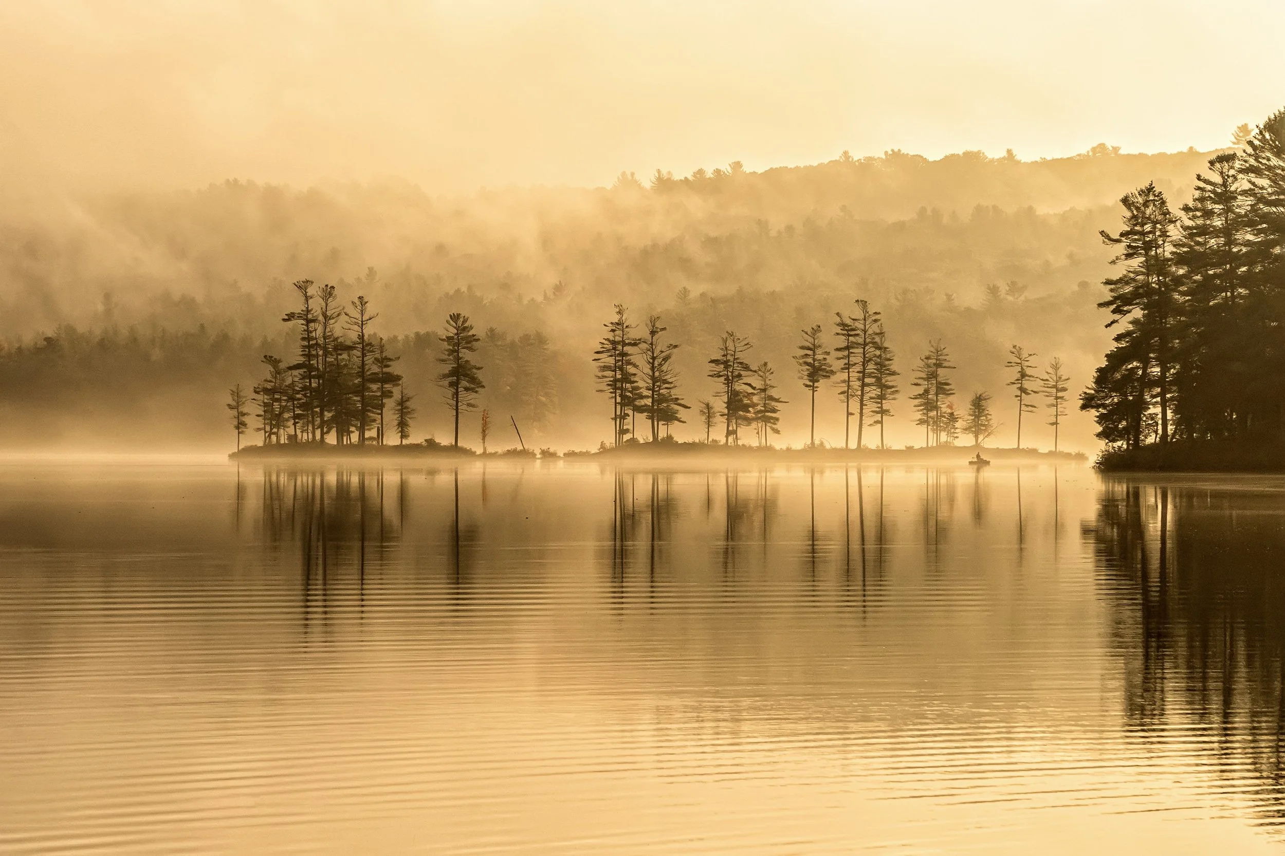 DSC04227_golden-mists.jpg