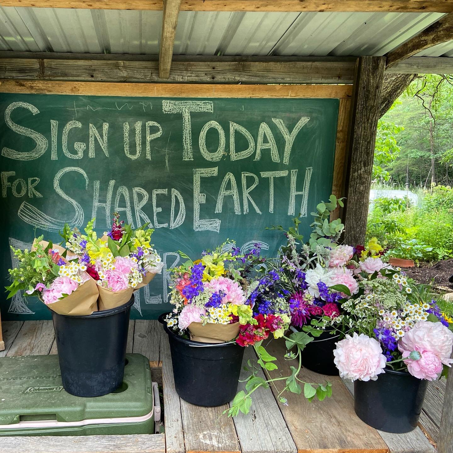 Even though it&rsquo;s been a warmer than usual spring, it&rsquo;s just the beginning of flower season!! Find our bouquets at @thecakerycakes every Thursday-Friday from 11-6 and Saturday 10-2 or sign up for our subscription for deliveries to your doo