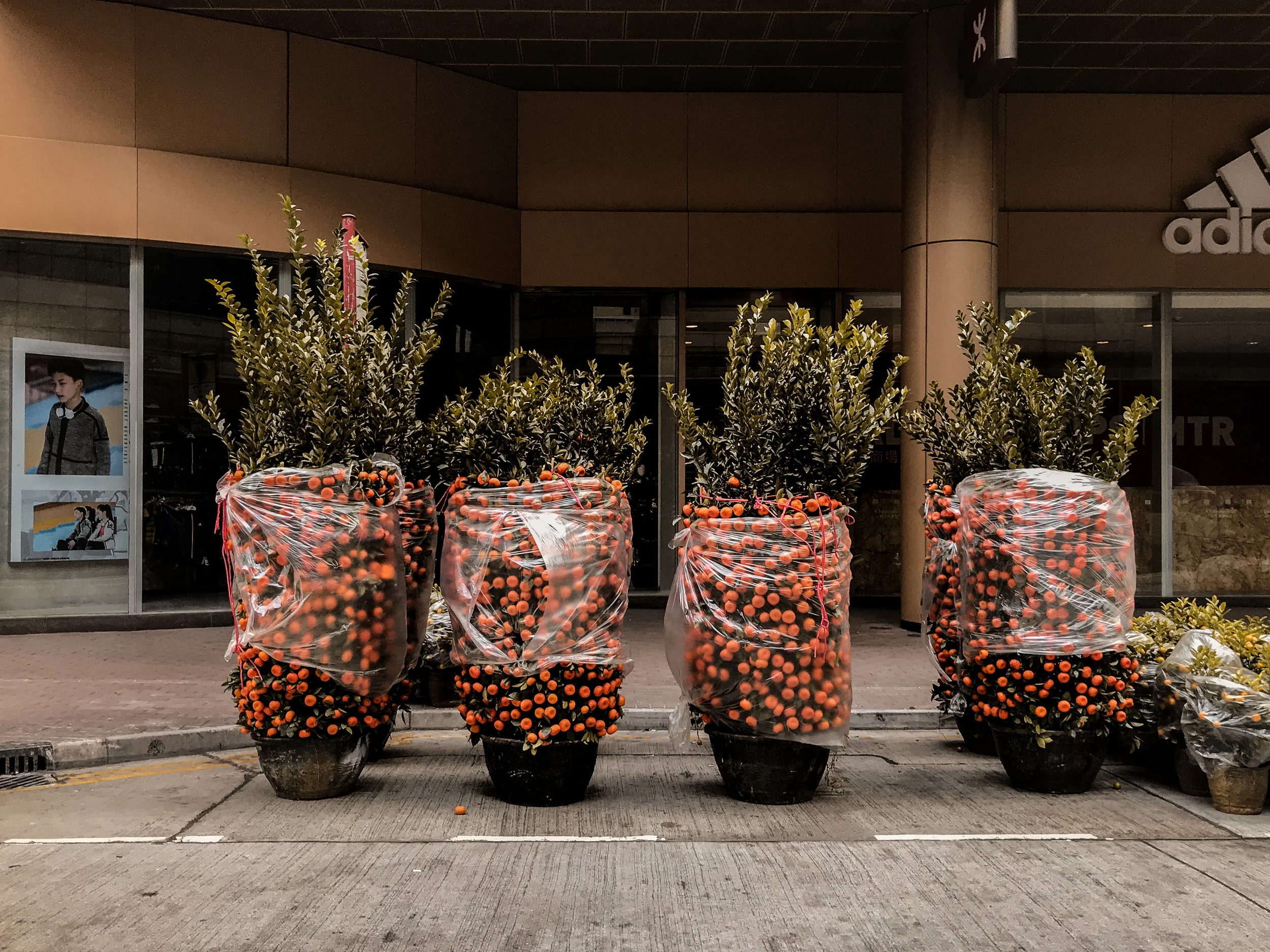 Discover H.K. With bitplay