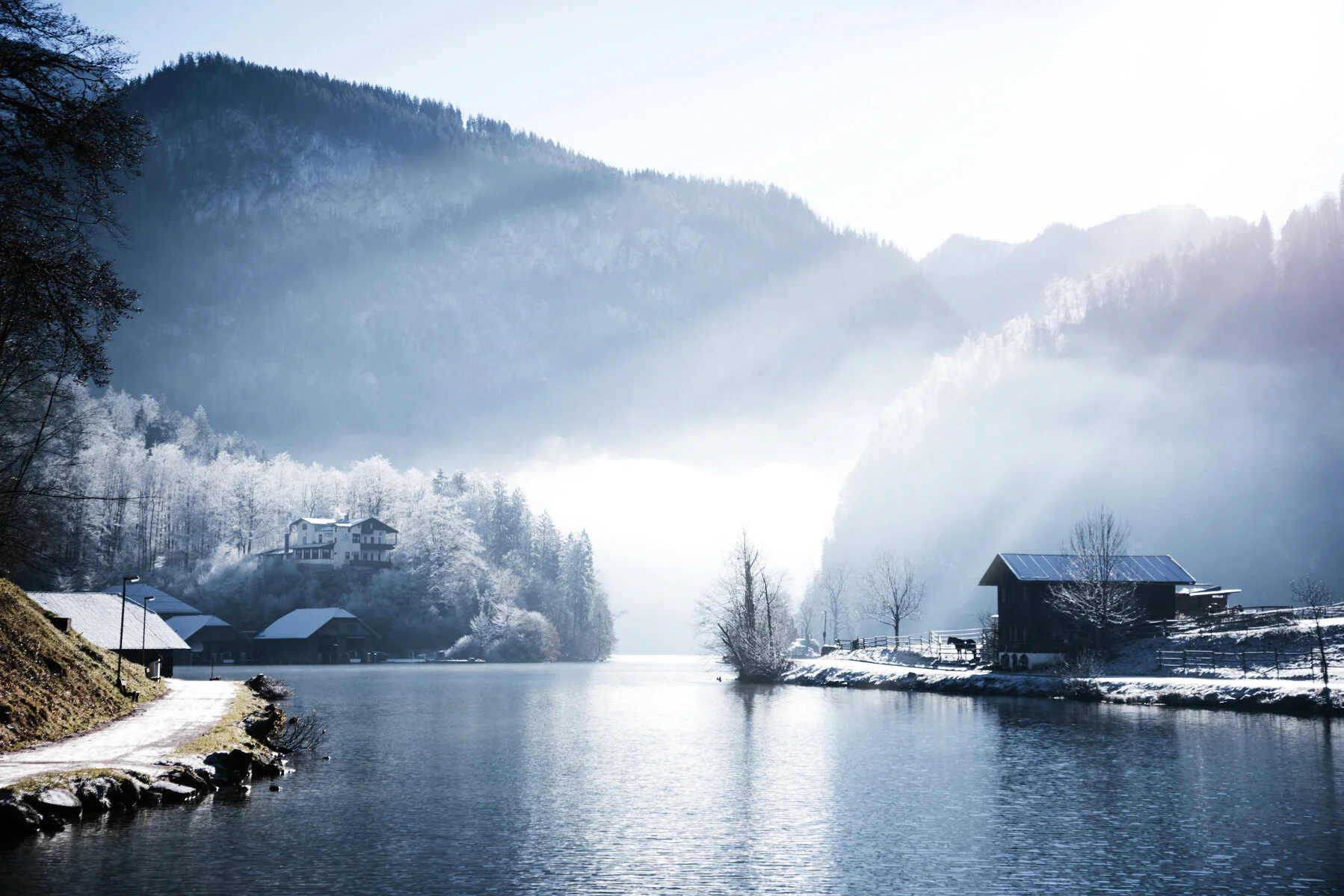 冬季國王湖雪景景色