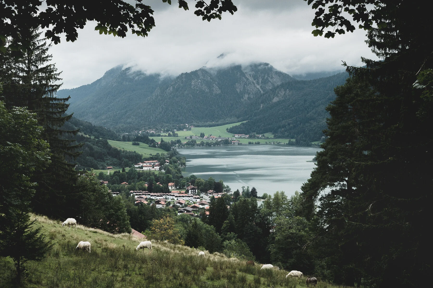 Schliersee八月夏季景致