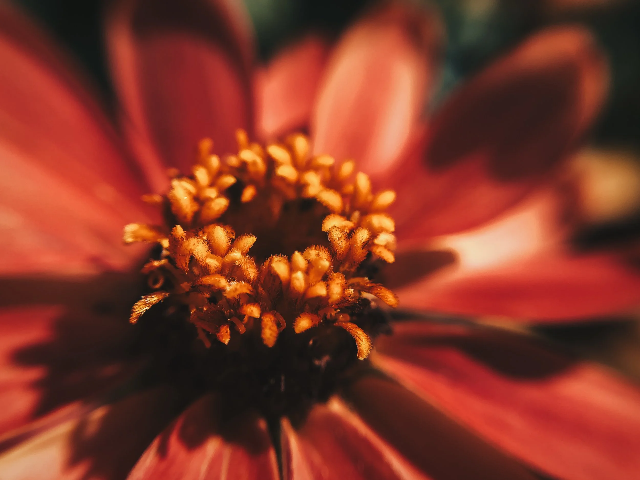 Botanischer Garten Munich - bitplay Marco Lens - Yes! Please Enjoy-4.jpg