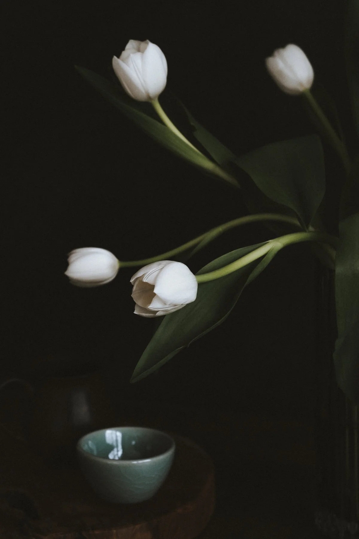 White Tulips Still Life - Fujifilm XT3 1680 - Yes! Please Enjoy by Fanning Tseng-4.jpg