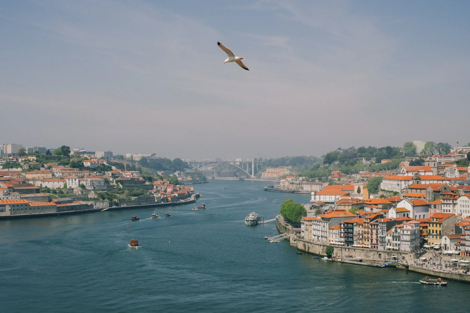 LRC MASTERCLASS - Yes! Please Enjoy by Fanning Tseng-003.jpg