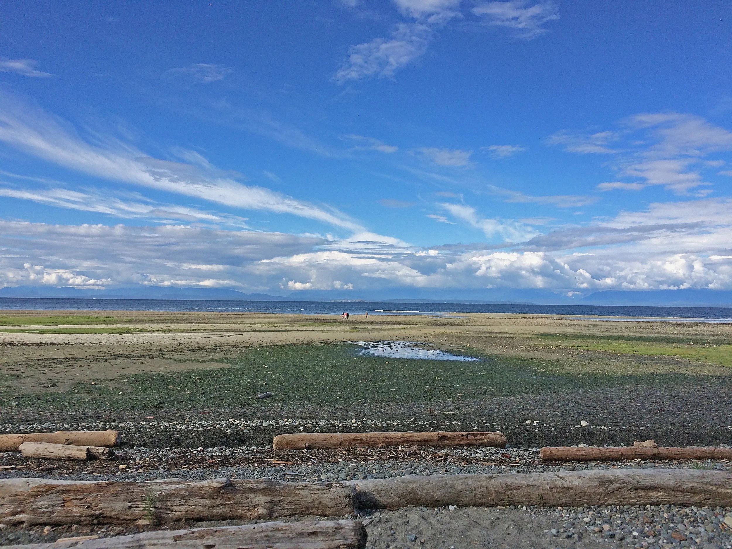 Yoga, Scoliosis, & the Nervous System: Sympathetic & Parasympathetic