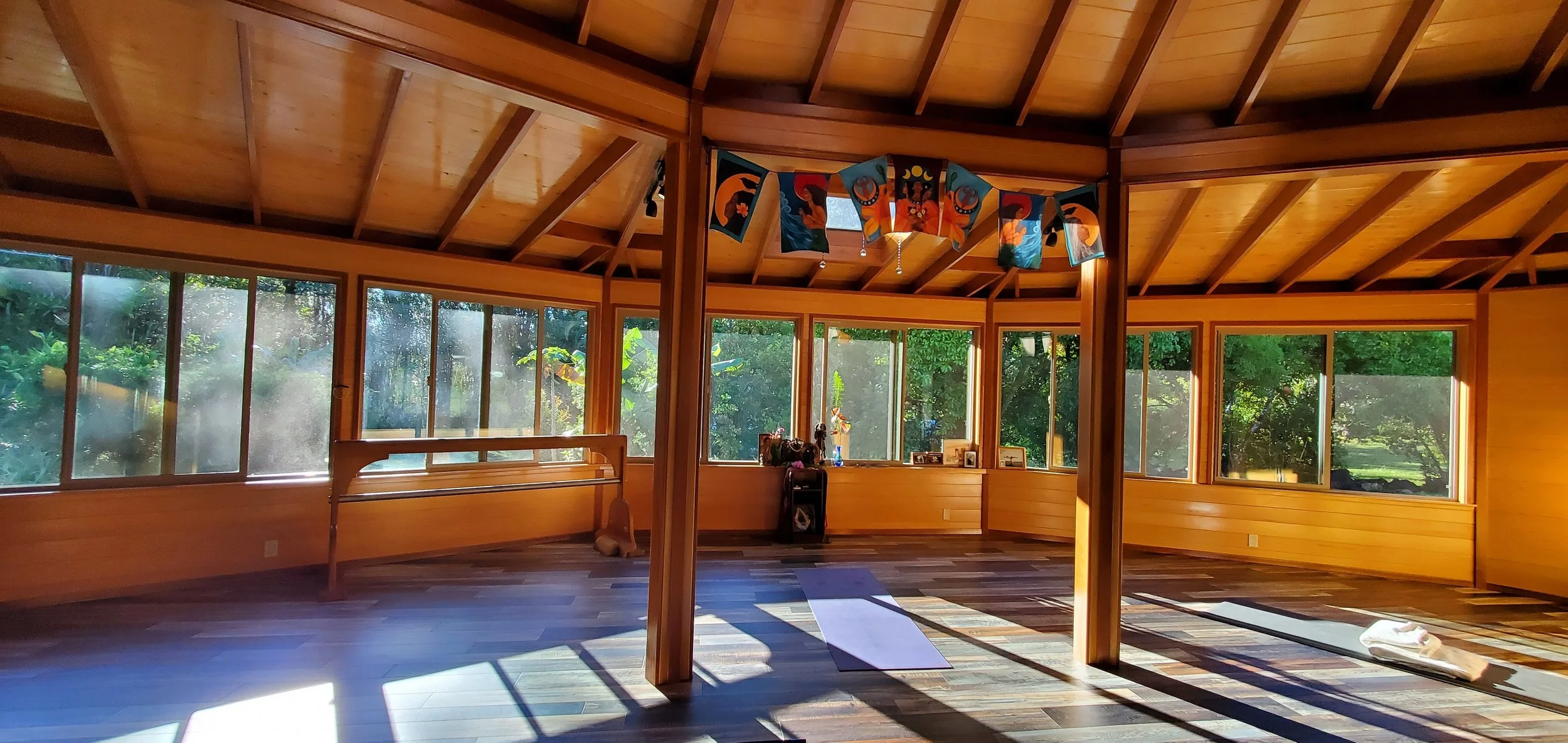 Yoga for Scoliosis and Back Care 5 day Retreat at Mana Mauna, Big Island, Hawaii