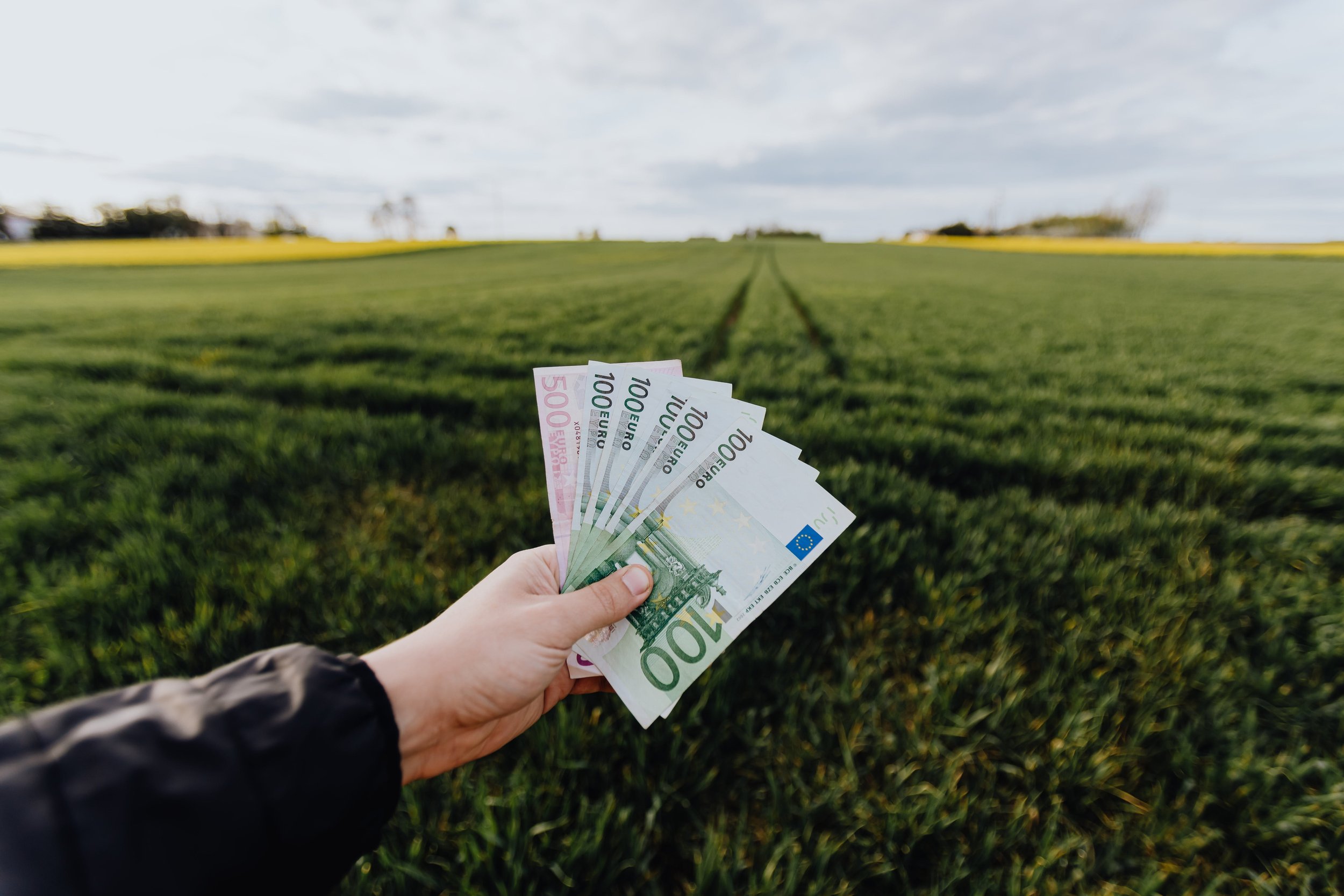 Understanding Preliminary Tax: Timing, Cash Flow, and PAYE Comparison