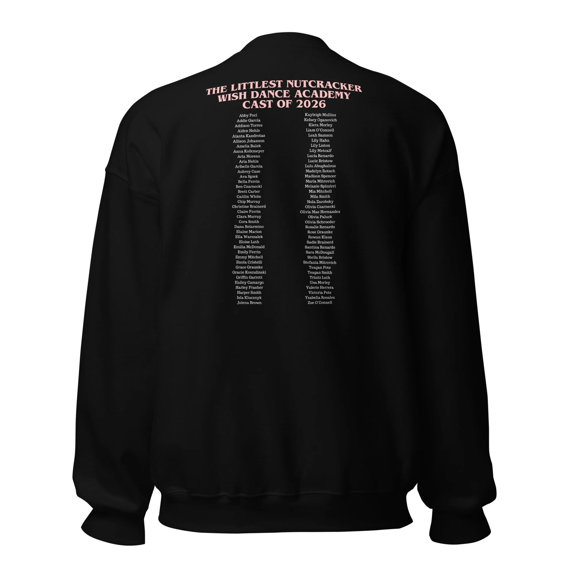 unisex-crew-neck-sweatshirt-black-back-6ac92ed8b641d.jpg