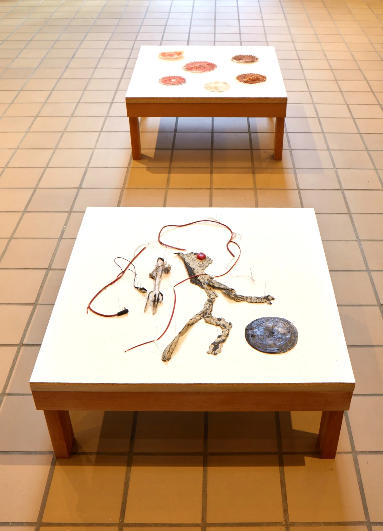 Installation view of Material History at JDJ, Garrison, NY, 2019