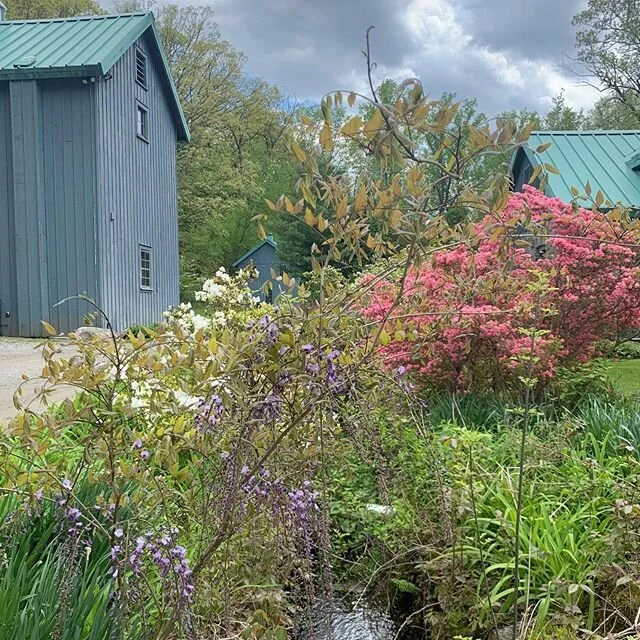 Springtime colors at the gallery. The show goes on outside even though the shows are on pause inside.