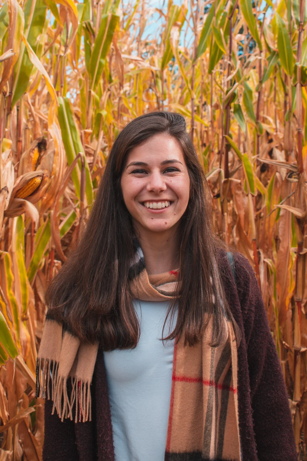 Yorktown Heights, NY