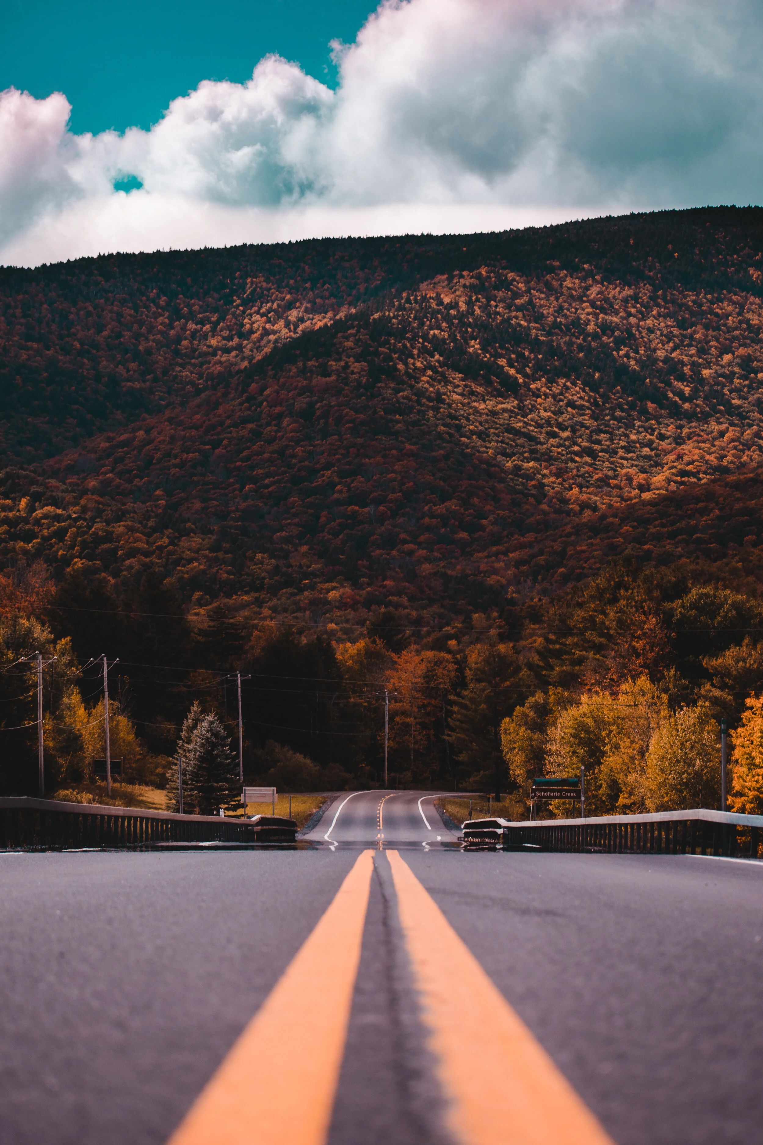 FallRoad.jpg