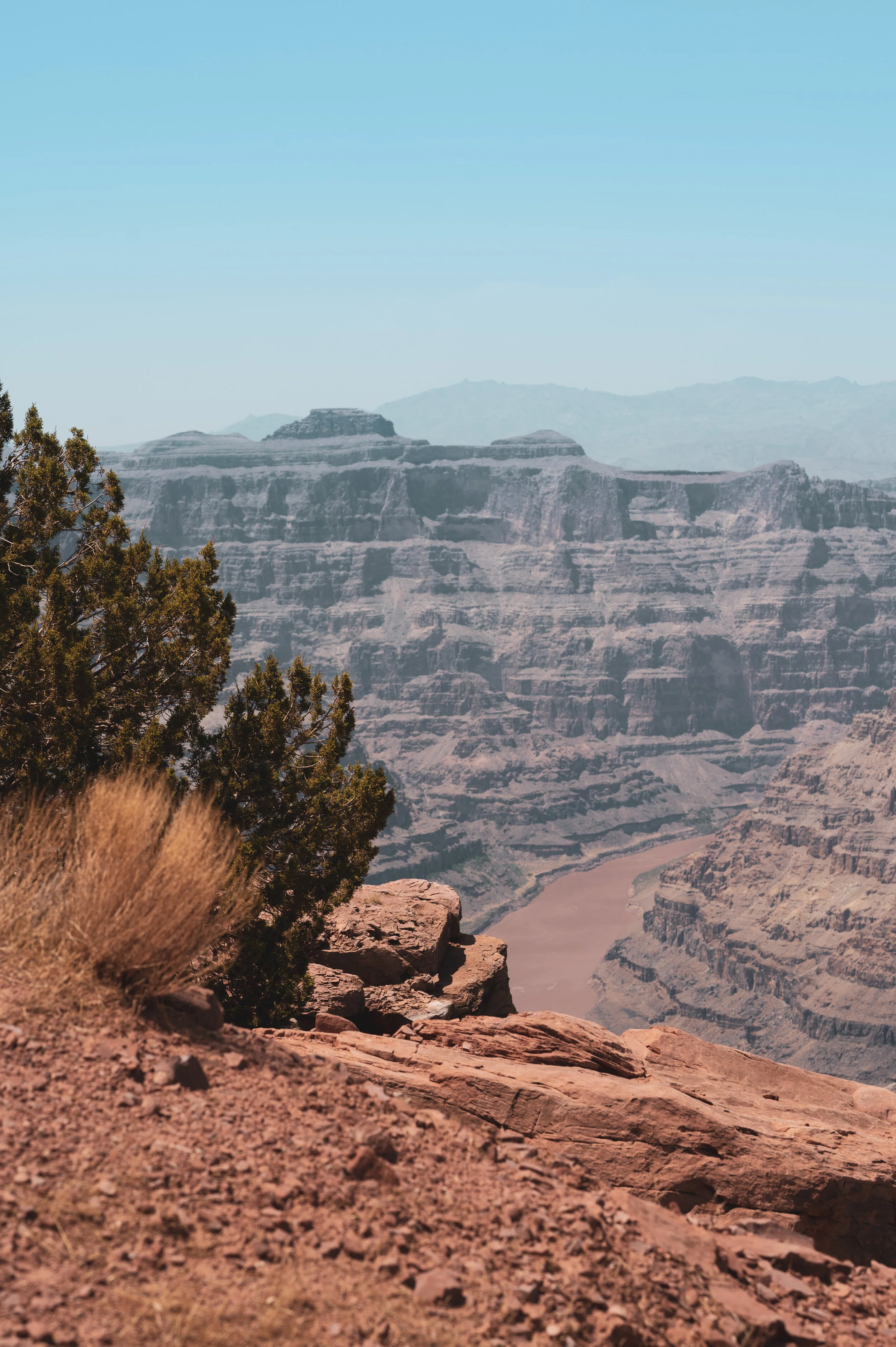 landscape4full.jpg
