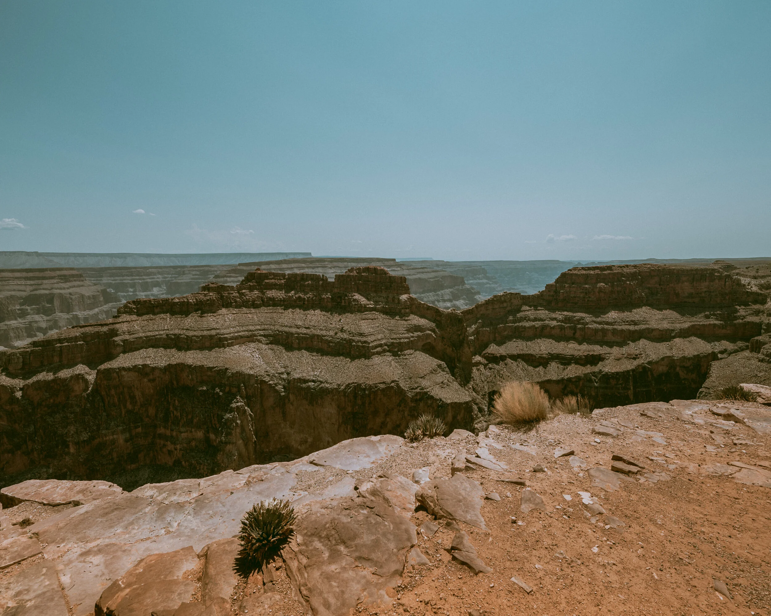 landscape2.jpg