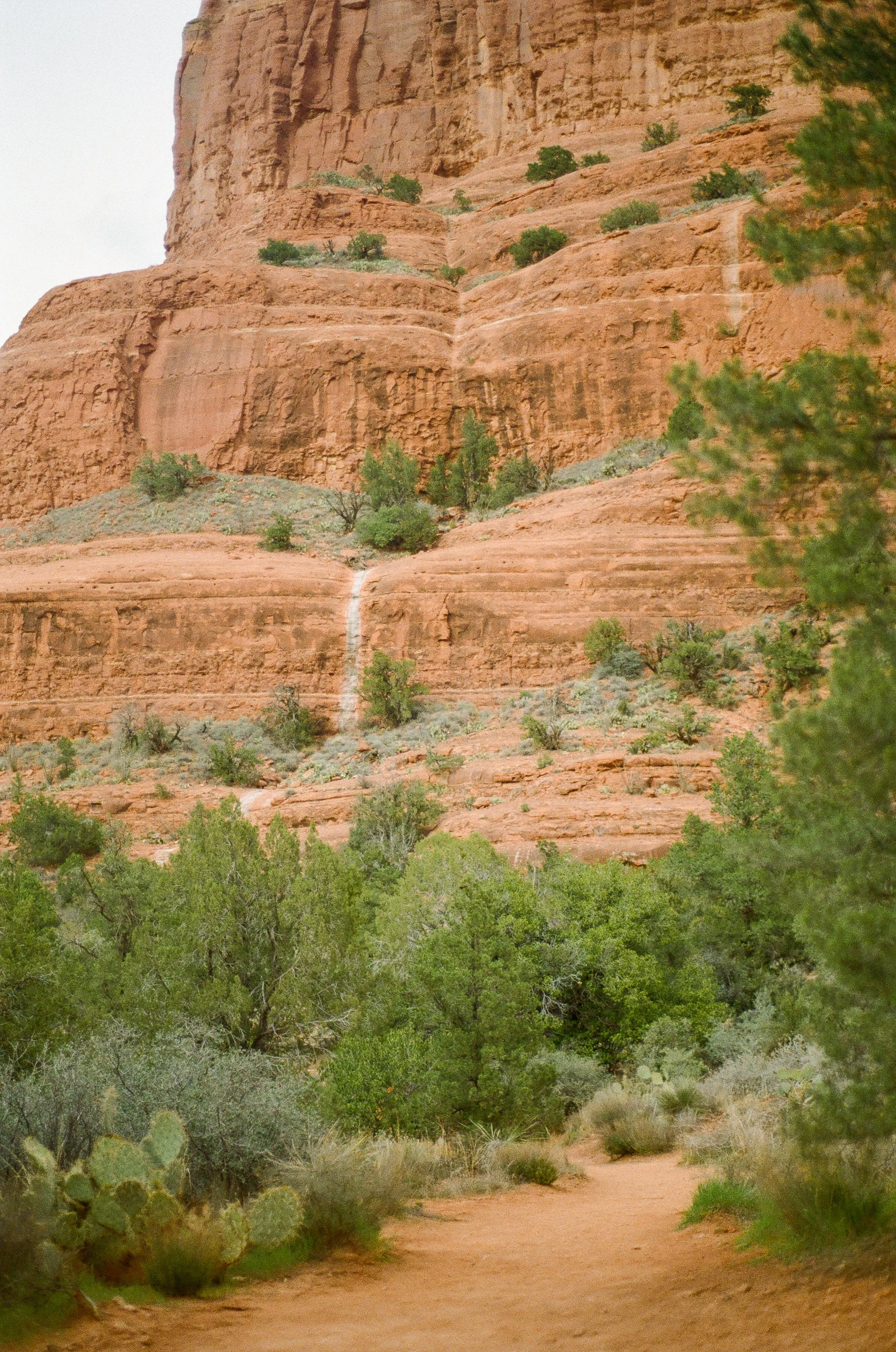 Sedona-19.jpg