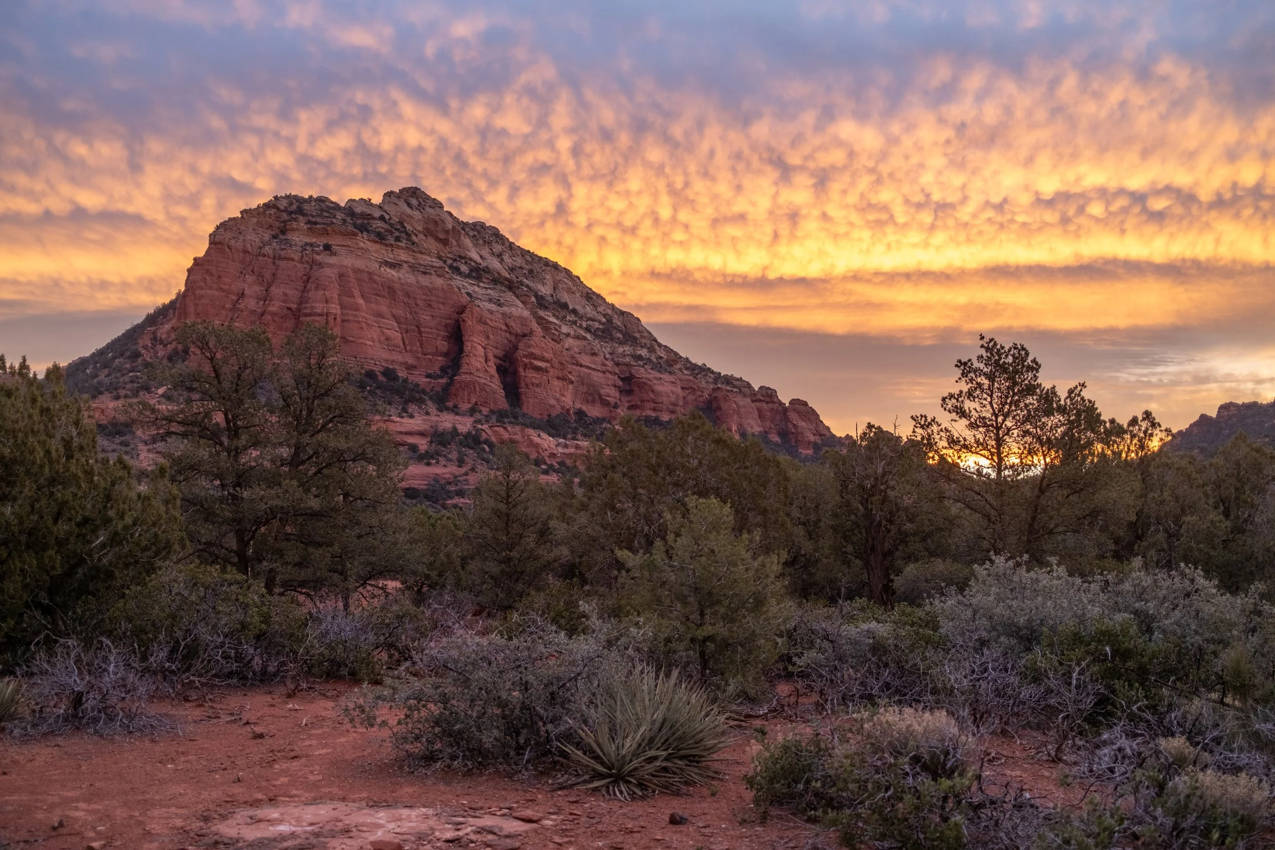 Sedona-5.jpg