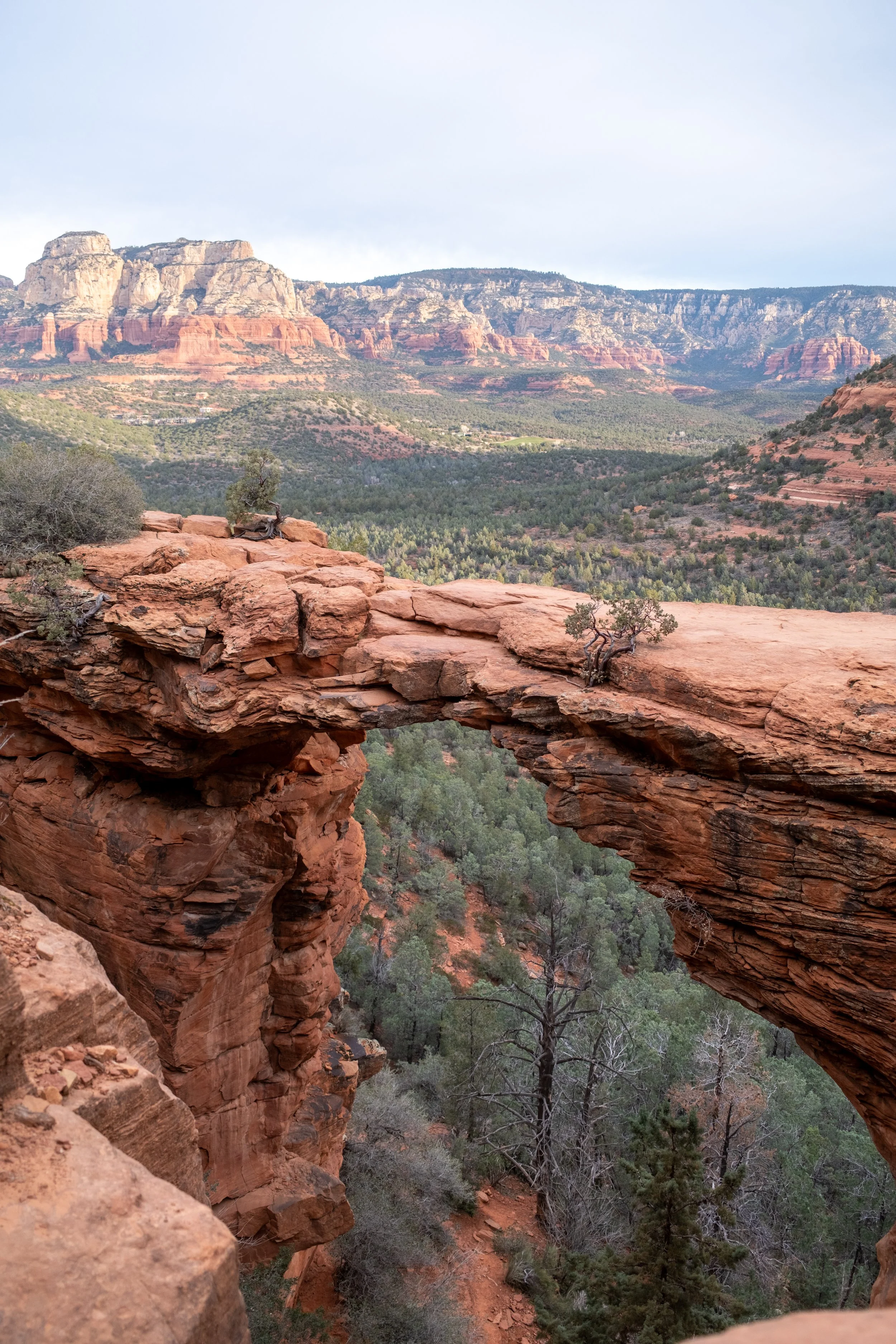 Sedona-9.jpg
