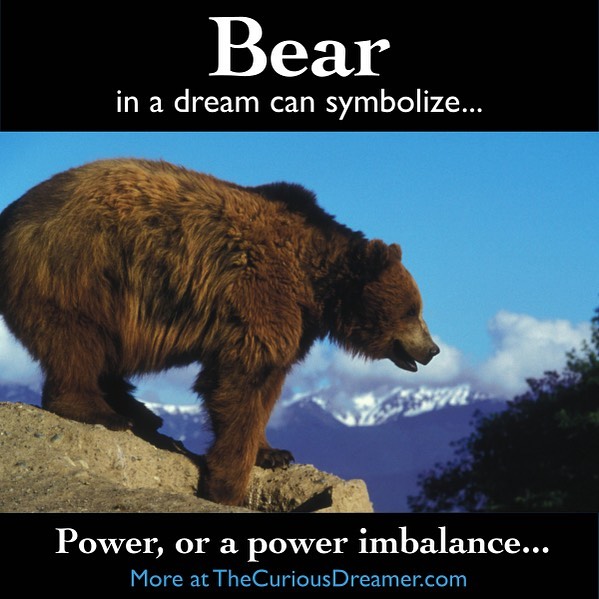 A bear as a dream symbol can represent (as described at TheCuriousDreamer.com): Power, or a power imbalance; the use of power, such as in aggression or protection; having too much or too little of one of these qualities. If you dream about this anima
