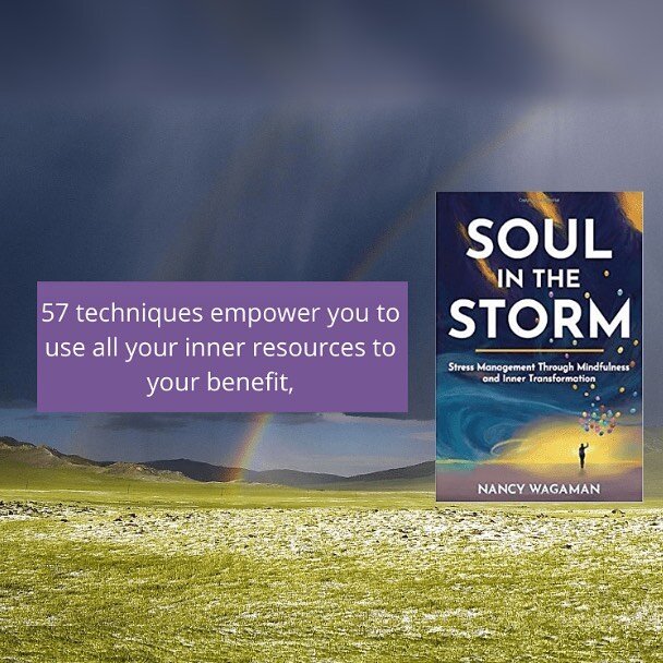 Grateful for this beautifully written review from @duffythewriter for my new book, Soul in the Storm: &quot;The common-sense approach to this book is refreshing... It&rsquo;s a little bit like choosing your own adventure, except the treasure at the e