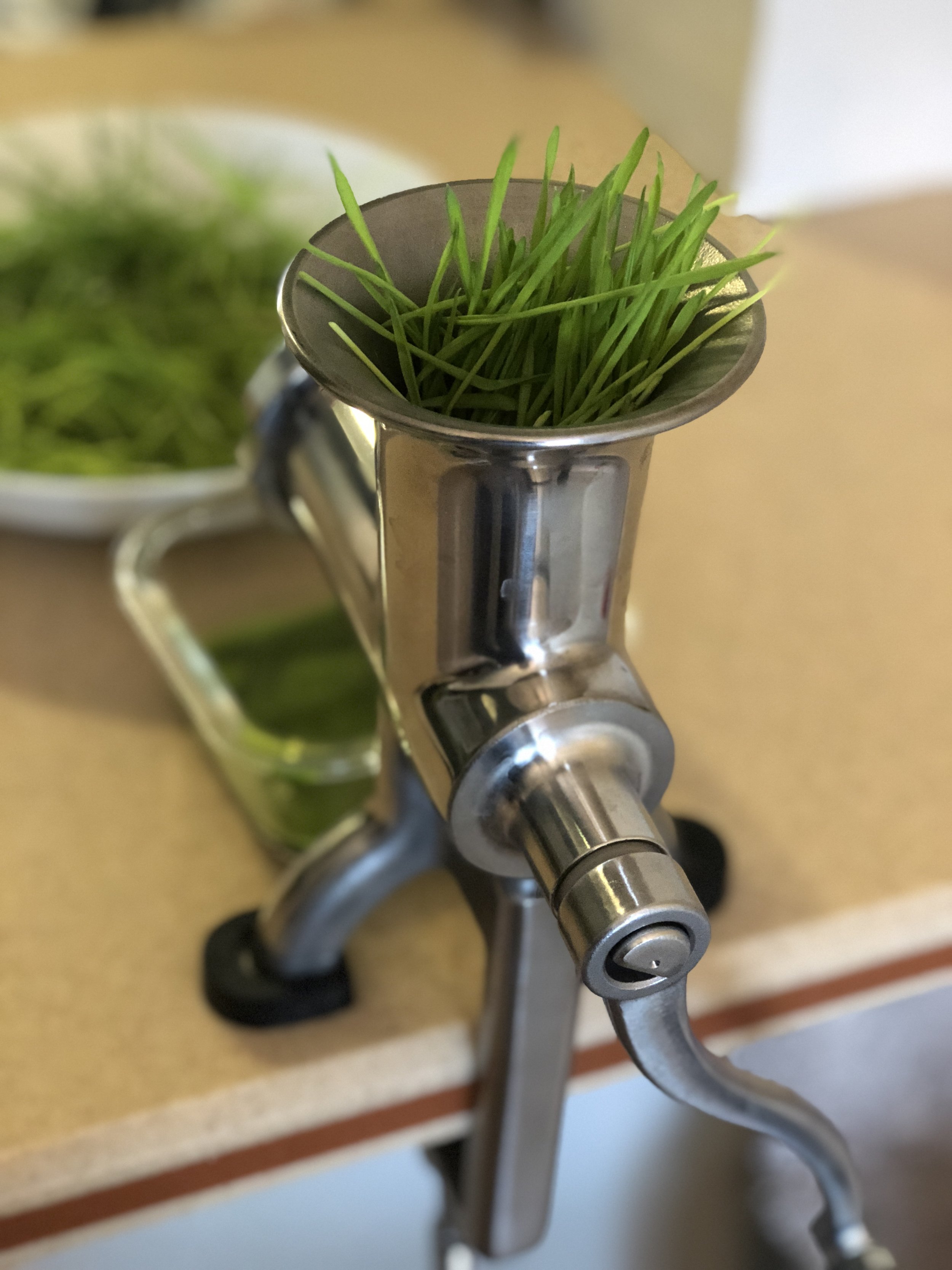 Wheatgrass.jpg