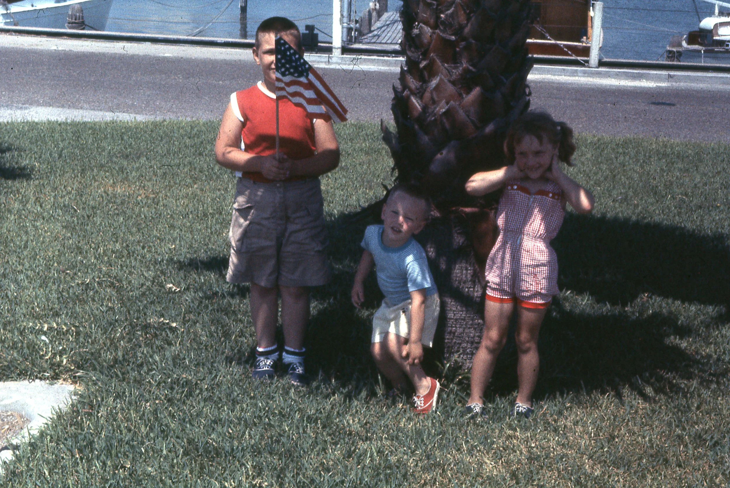 1957216.jpg