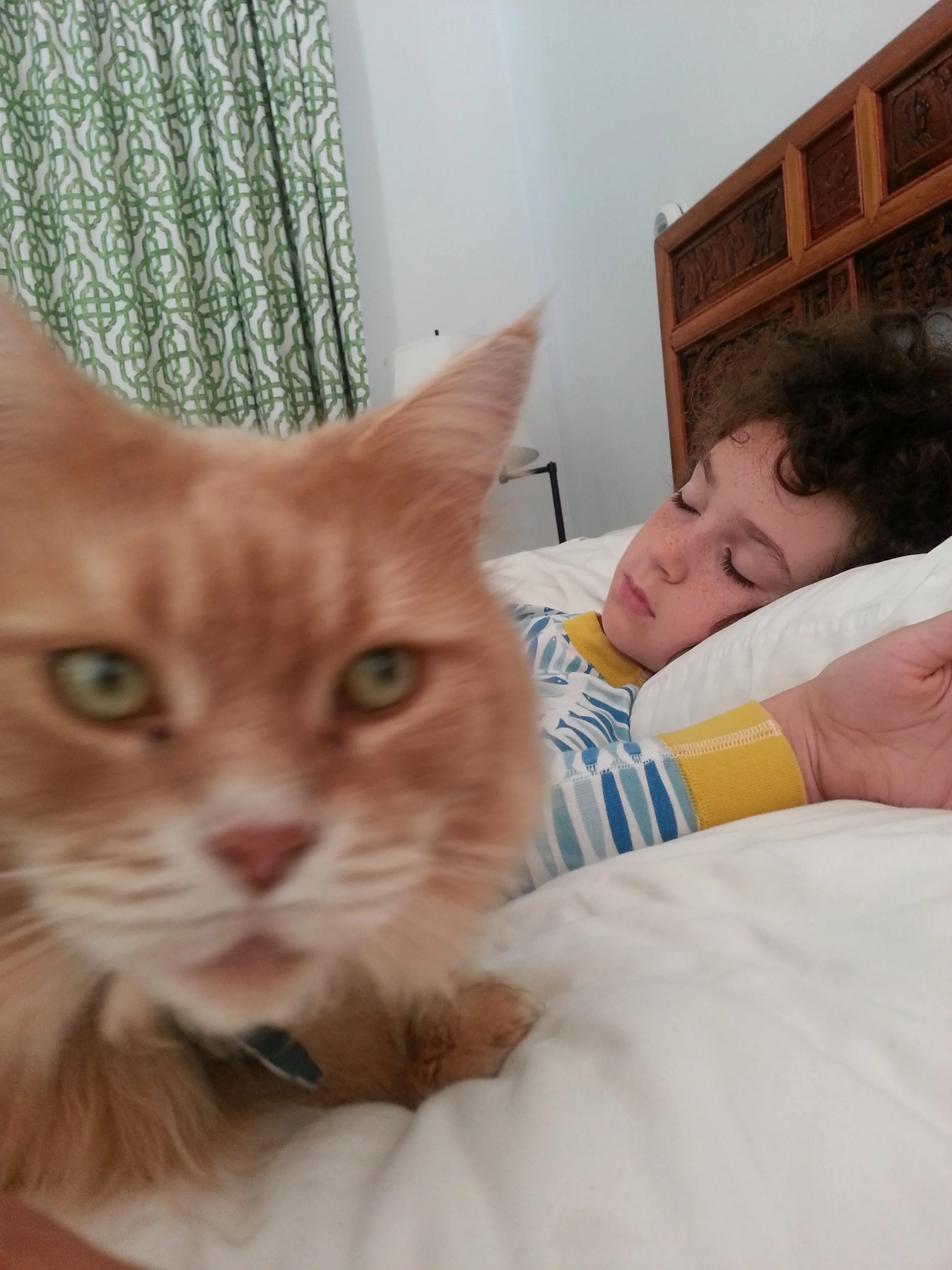 20150813_085010.jpg
