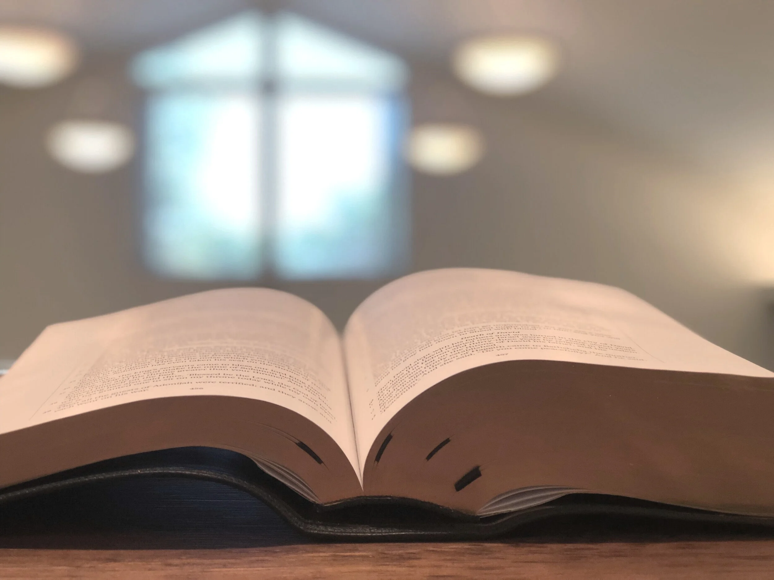 biblical+teaching.jpg