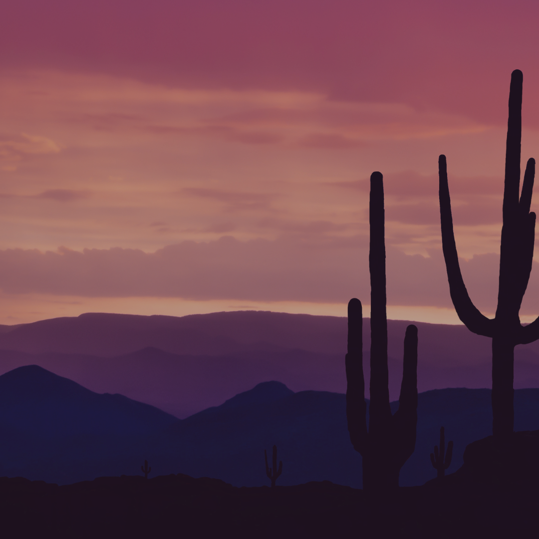 Quarterly Gathering of the Confessional Baptists of the Southwest