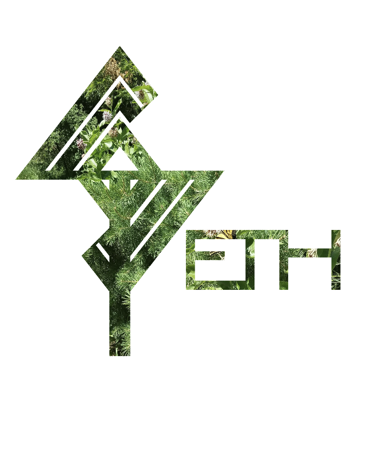 SethDesign.png