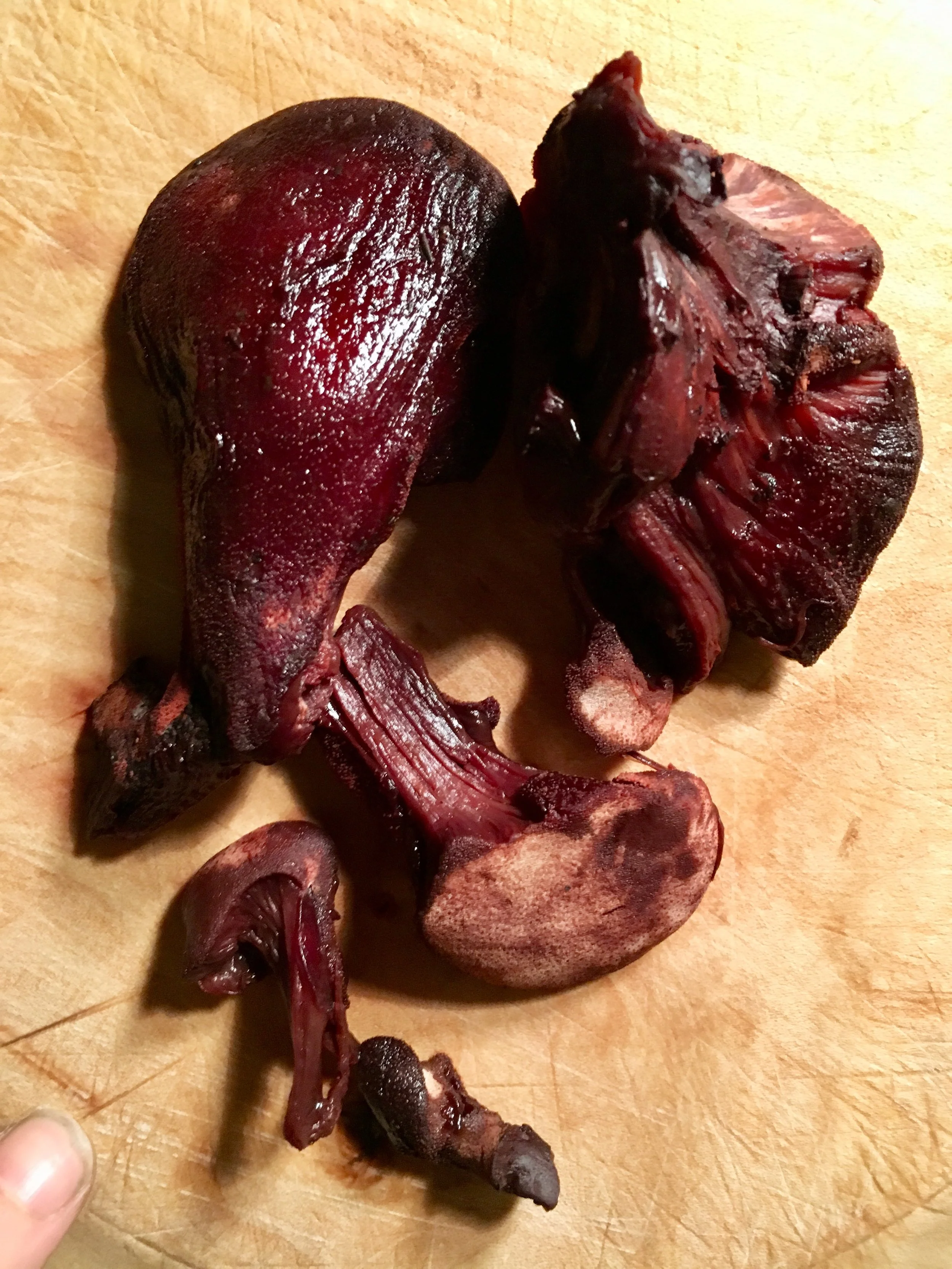 foraging beefsteak mushroom - Bristol
