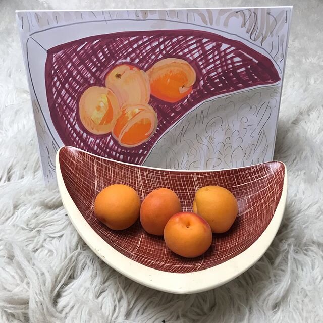 Apricots in a fifties boomerang bowl, on a furry rug .
.
.
.
.
.
.
#drawing #stilllife #apricots #carltonware