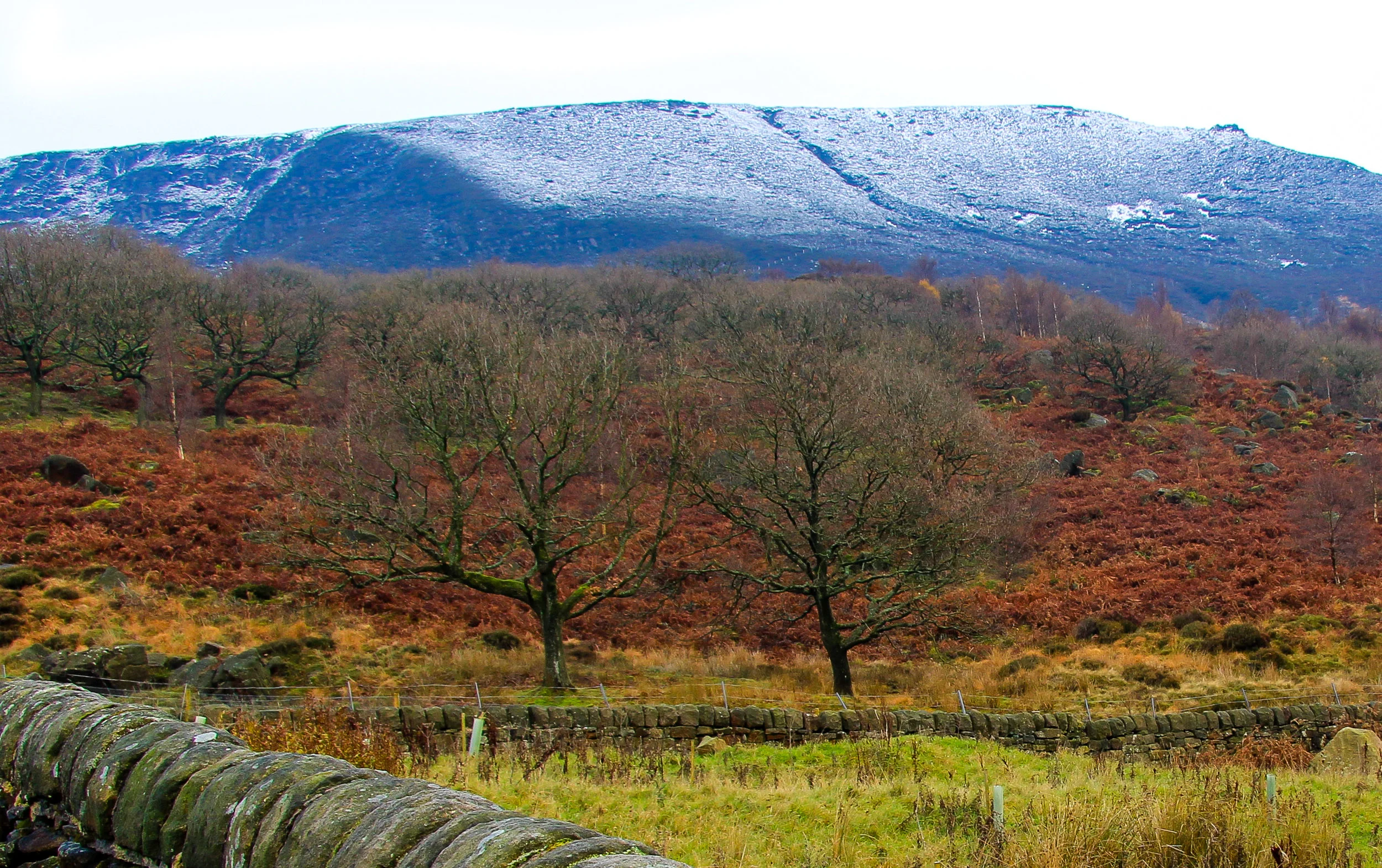 Light snow fall, Peak District