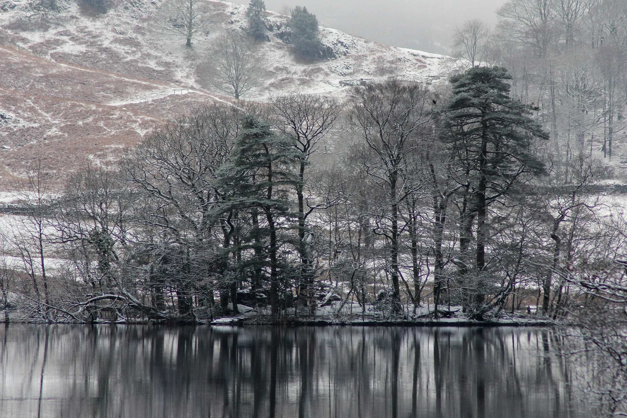 Winter at Rydal Water