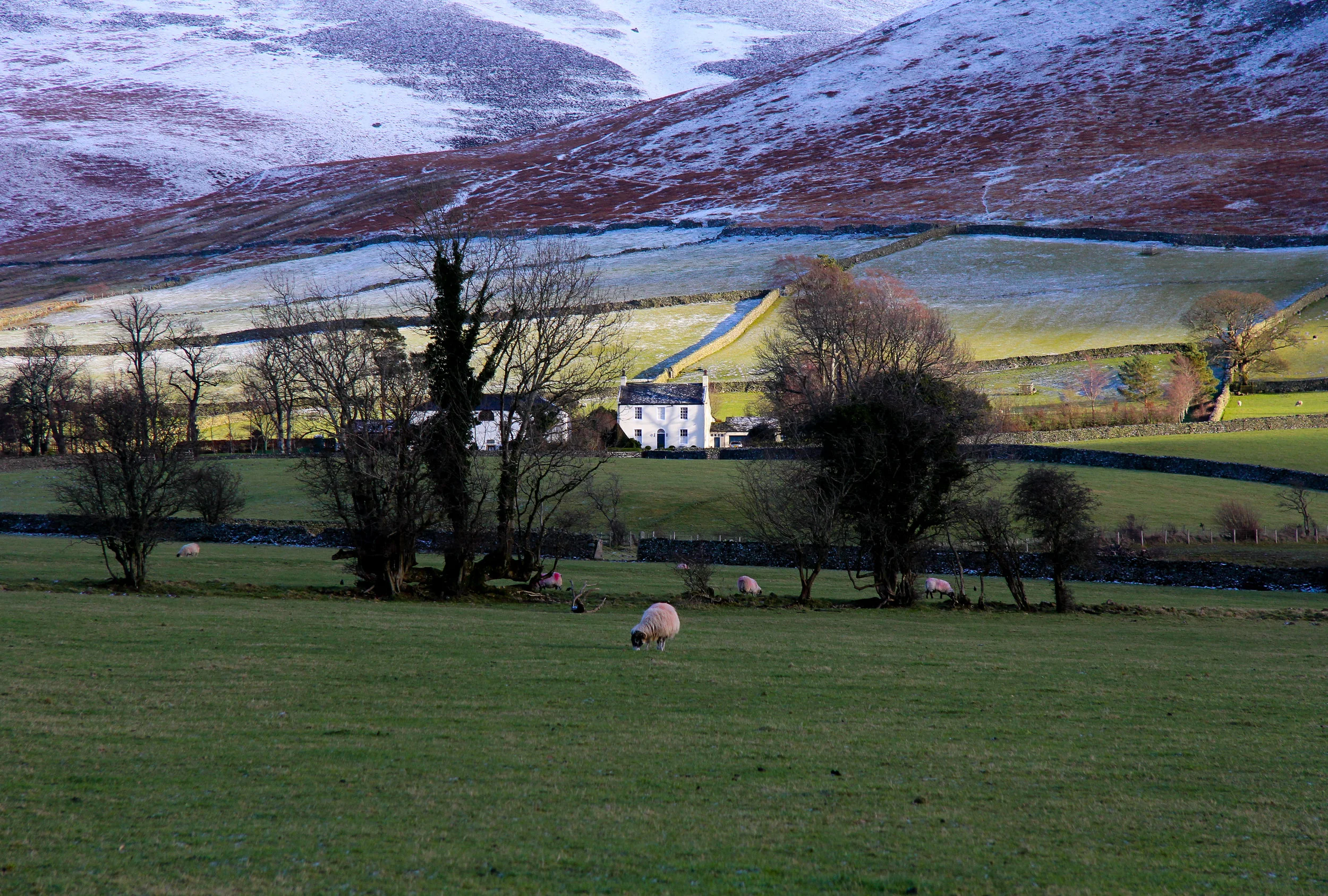 White Cottage, The Lakes