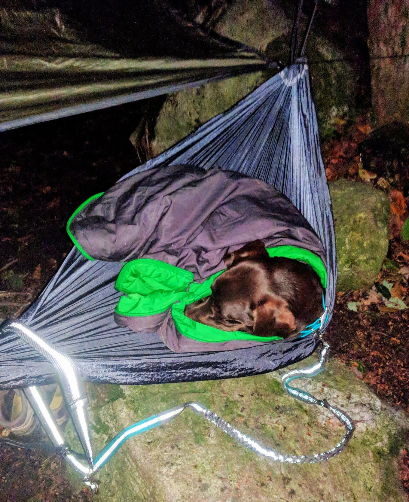© Image of Toby in sleeping bag, courtesy of Trisha Penrod.